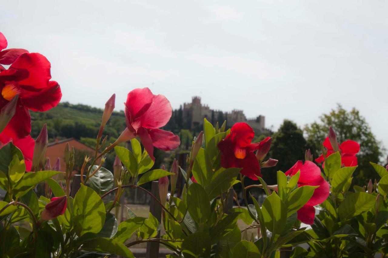 מלון סואבה La Finestra Sul Castello מראה חיצוני תמונה
